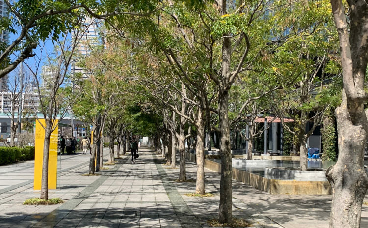 豊洲フォレシア