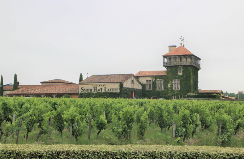 柑橘系果実とハーブが香るボルドーワイン？これまでのイメージを一新！