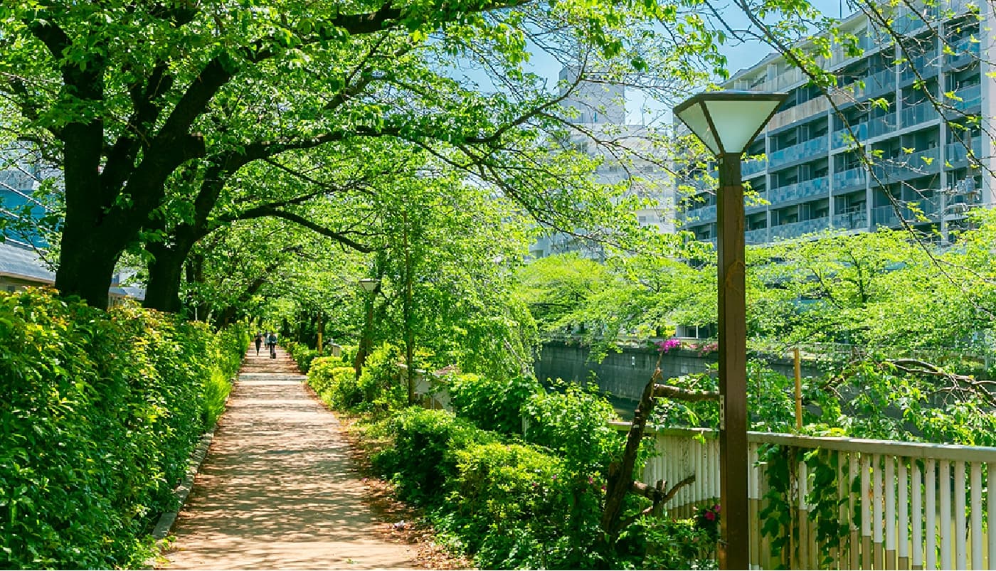 現地周辺の街並み(徒歩7分・約520m)