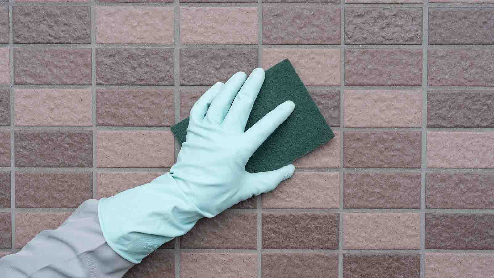 外壁の掃除は自分ですべきか、業者に依頼すべきか？メリットとデメリットを解説