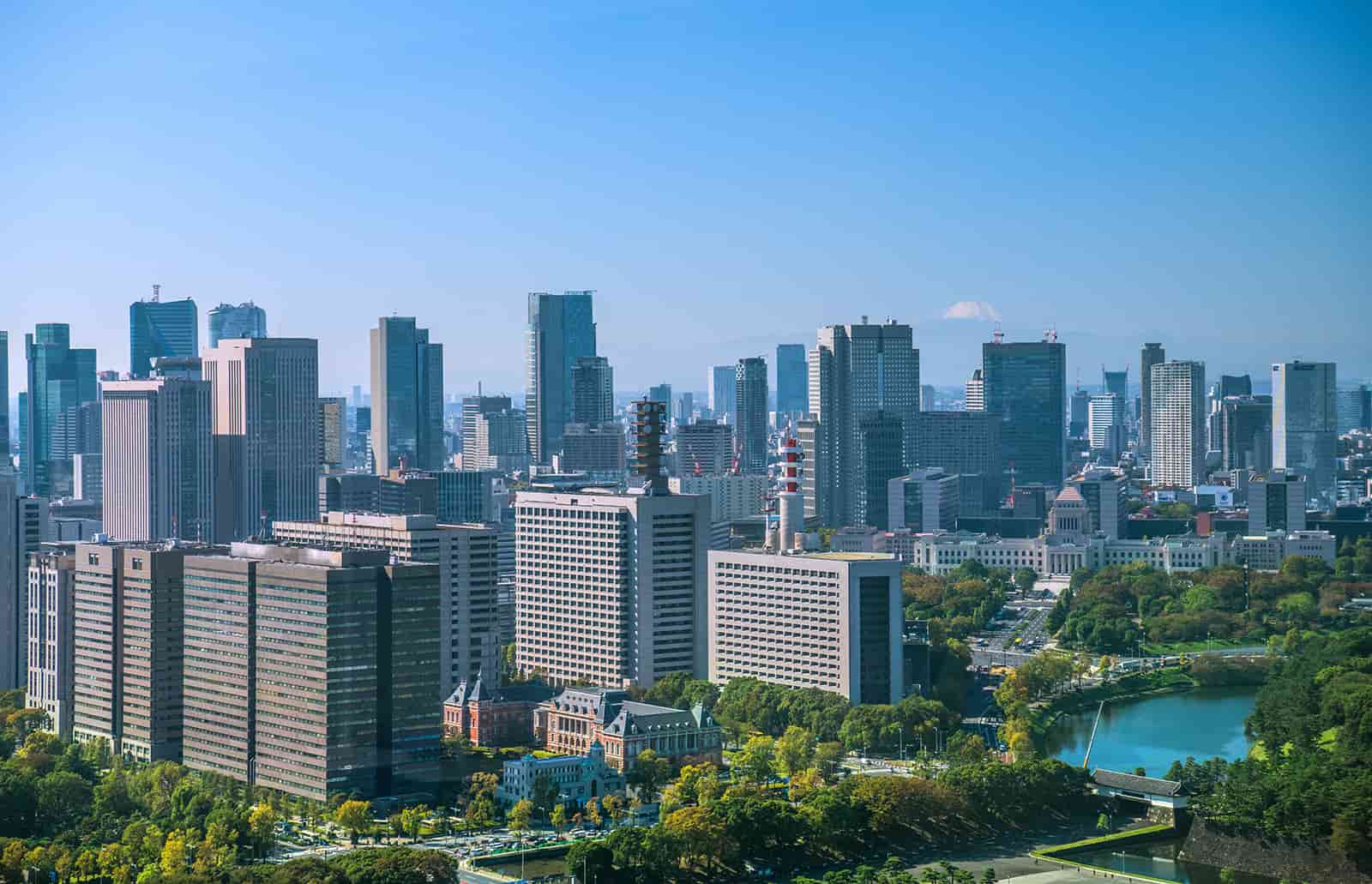 公示価格とは？評価方法や調べ方、基準地価との違いを解説