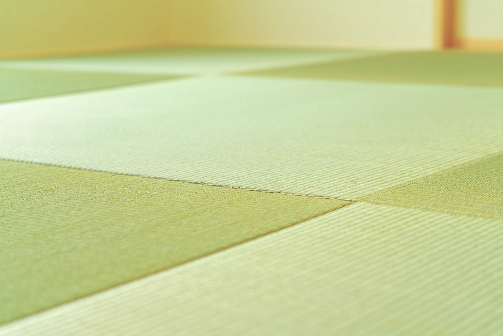 琉球畳は和室にも洋室にも合わせられる！デメリットや張り替え費用の相場も解説