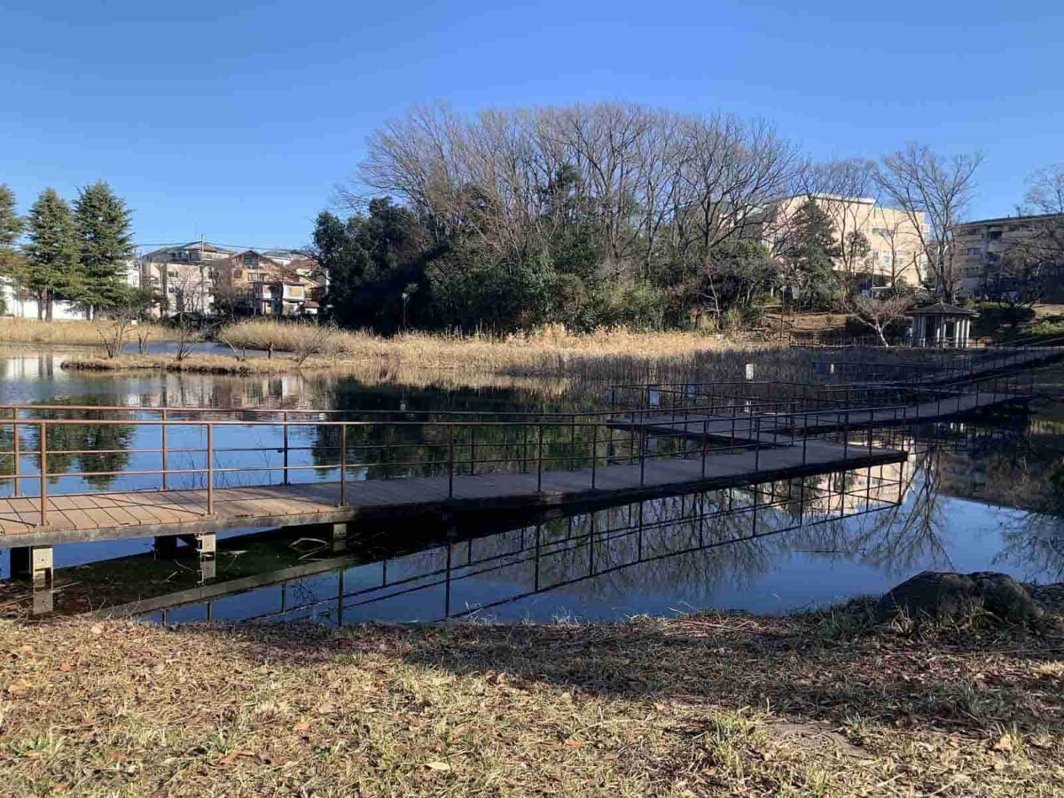 青葉台 もえぎ野公園