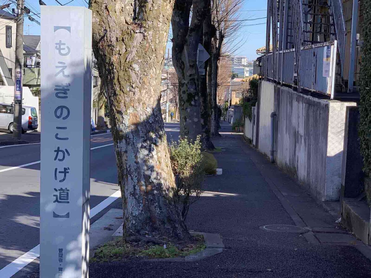 青葉台 もえぎのこかげ道