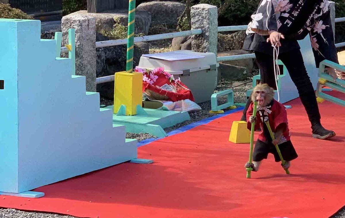 亀戸天神社 境内 猿まわし