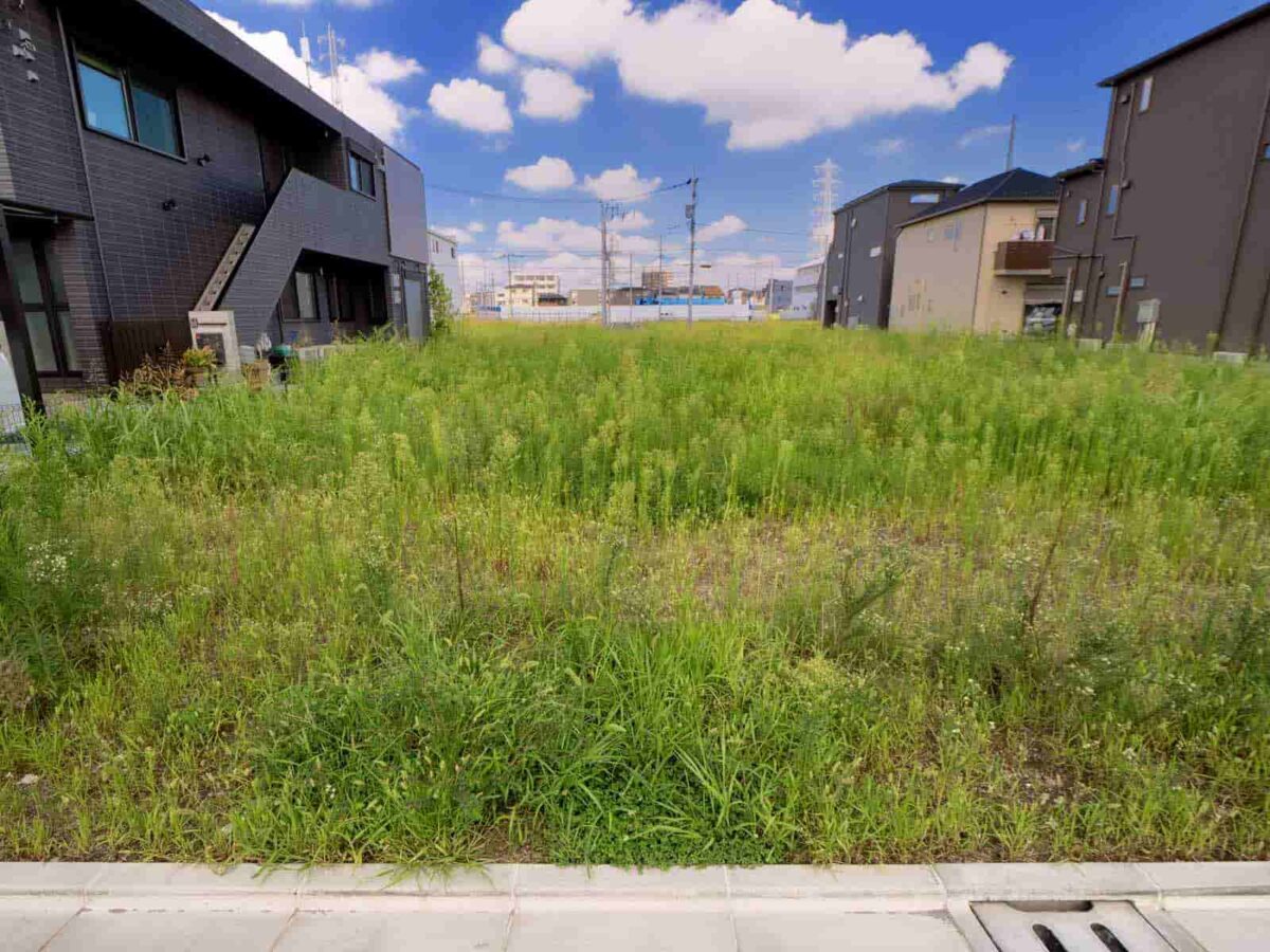 どうしても売れない土地の処分方法