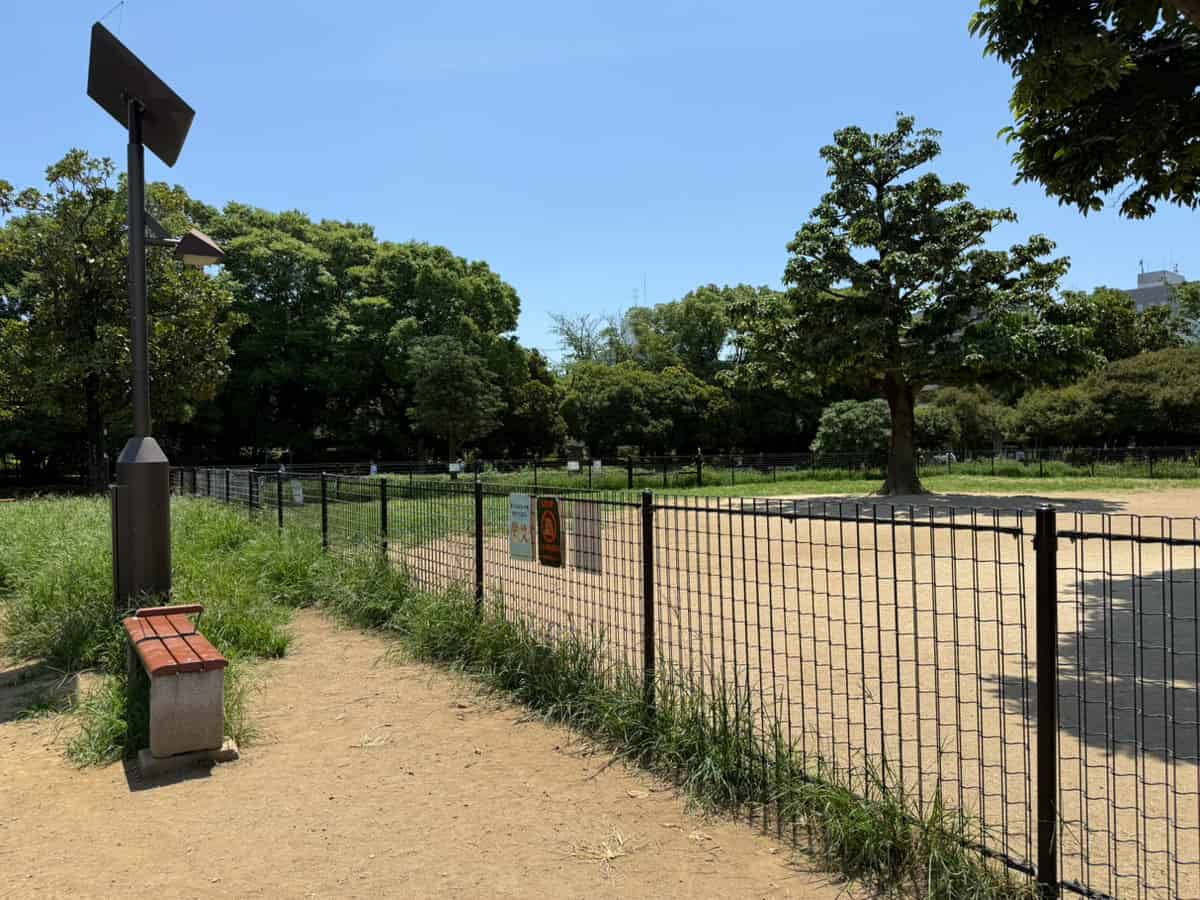 木場公園ドッグラン