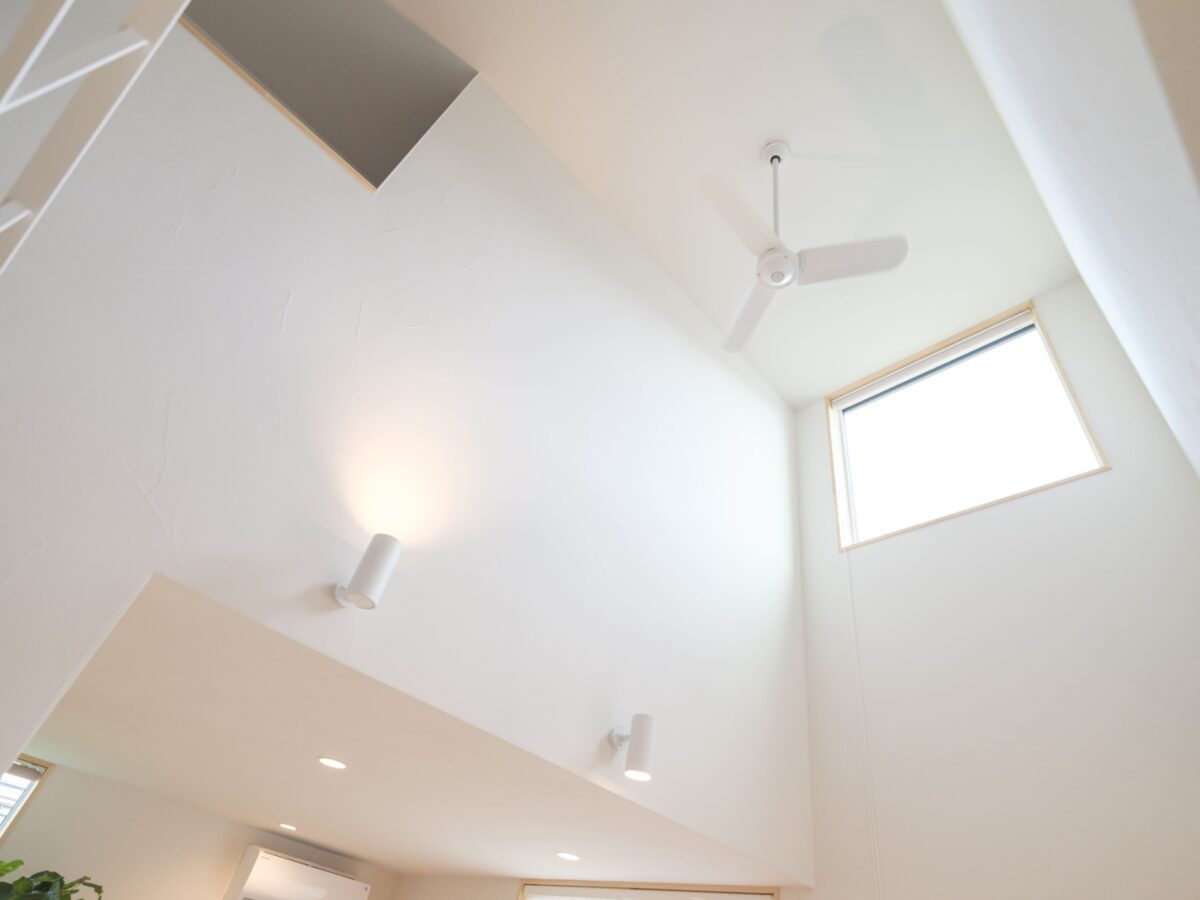 ハイサイドライト　後悔しない　ポイント