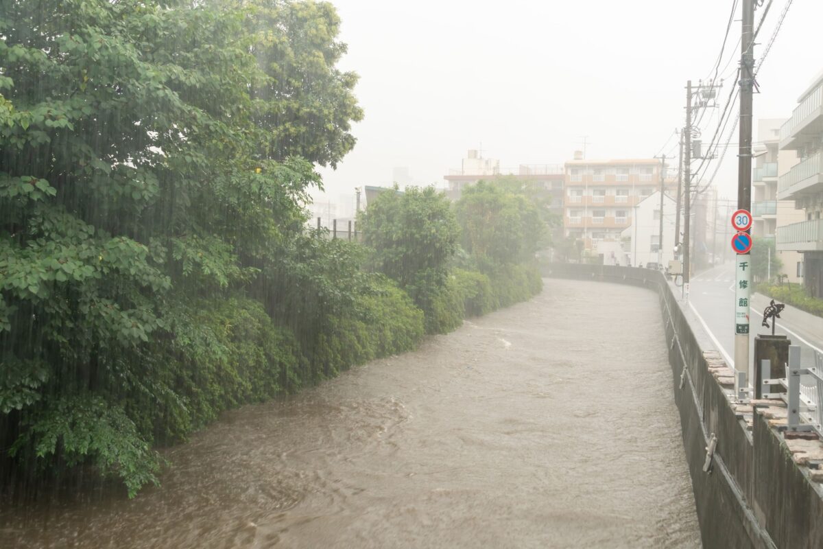 レジリエンス住宅　とは