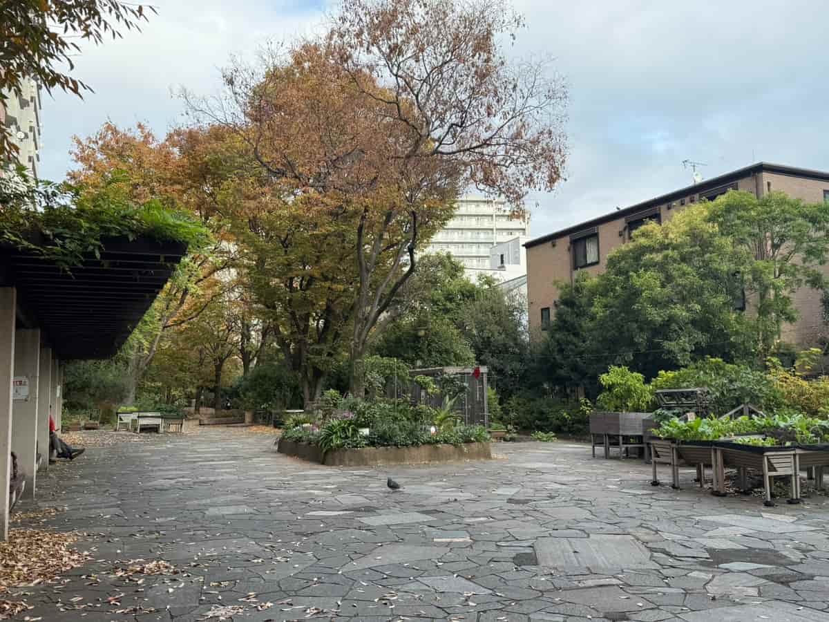遊歩道,玉川上水旧水路緑道