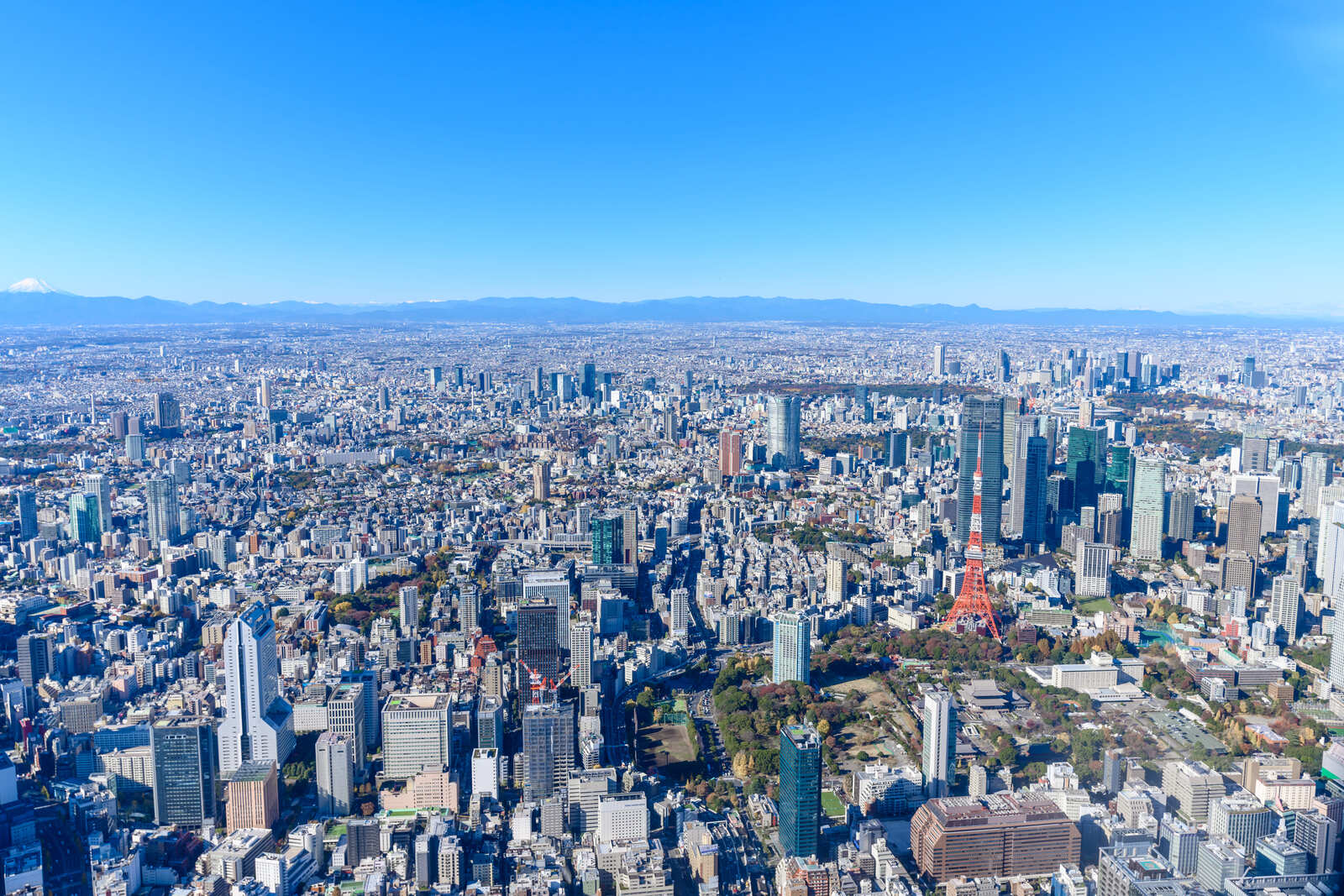 固定資産税が上がる理由とは？ 7つの要因と対処法を伝授