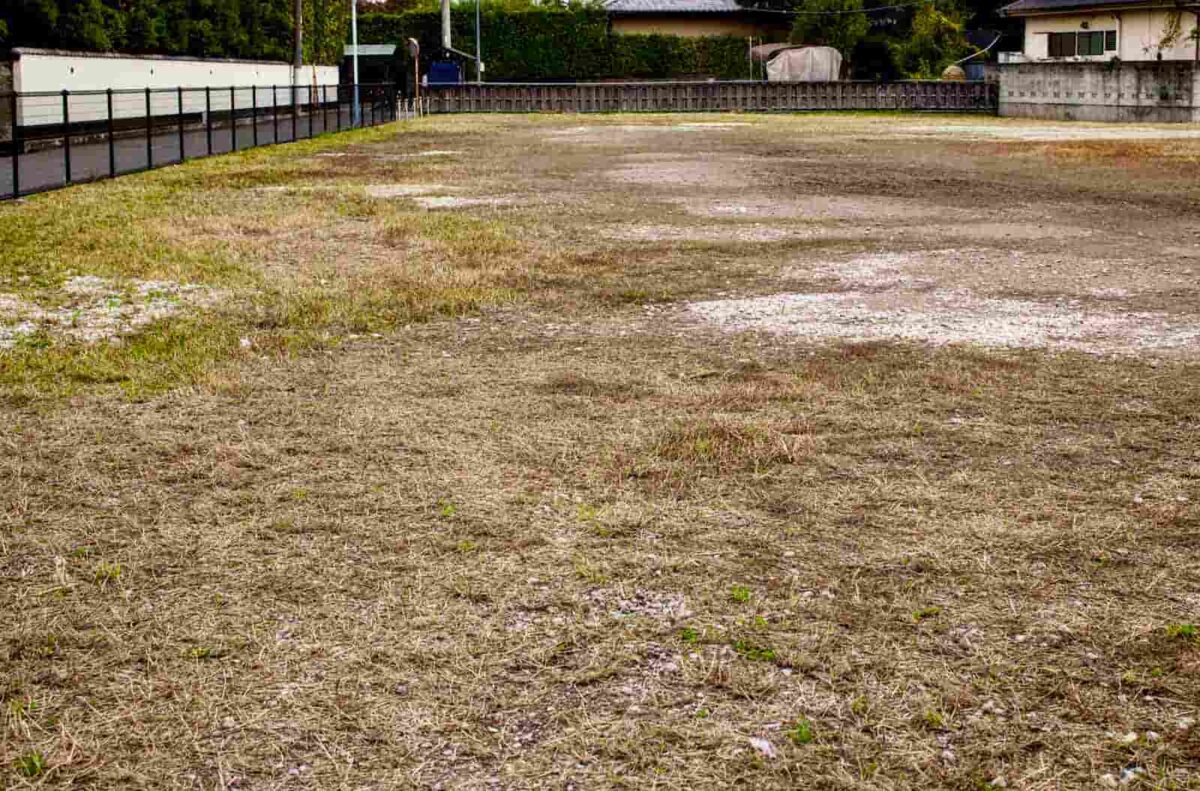 土地の境界線立会いとは