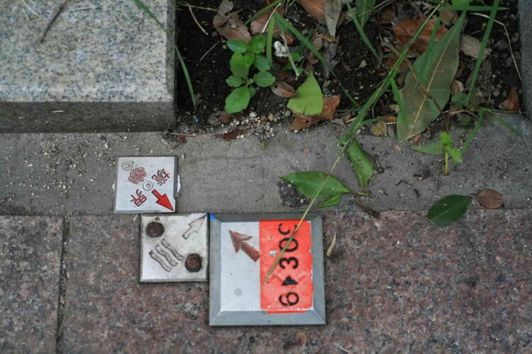 土地境界線立会いとは？注意点や拒否時の対応・トラブル予防法も解説