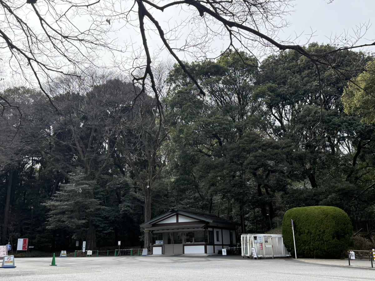 広大な鎮守の杜「明治神宮」