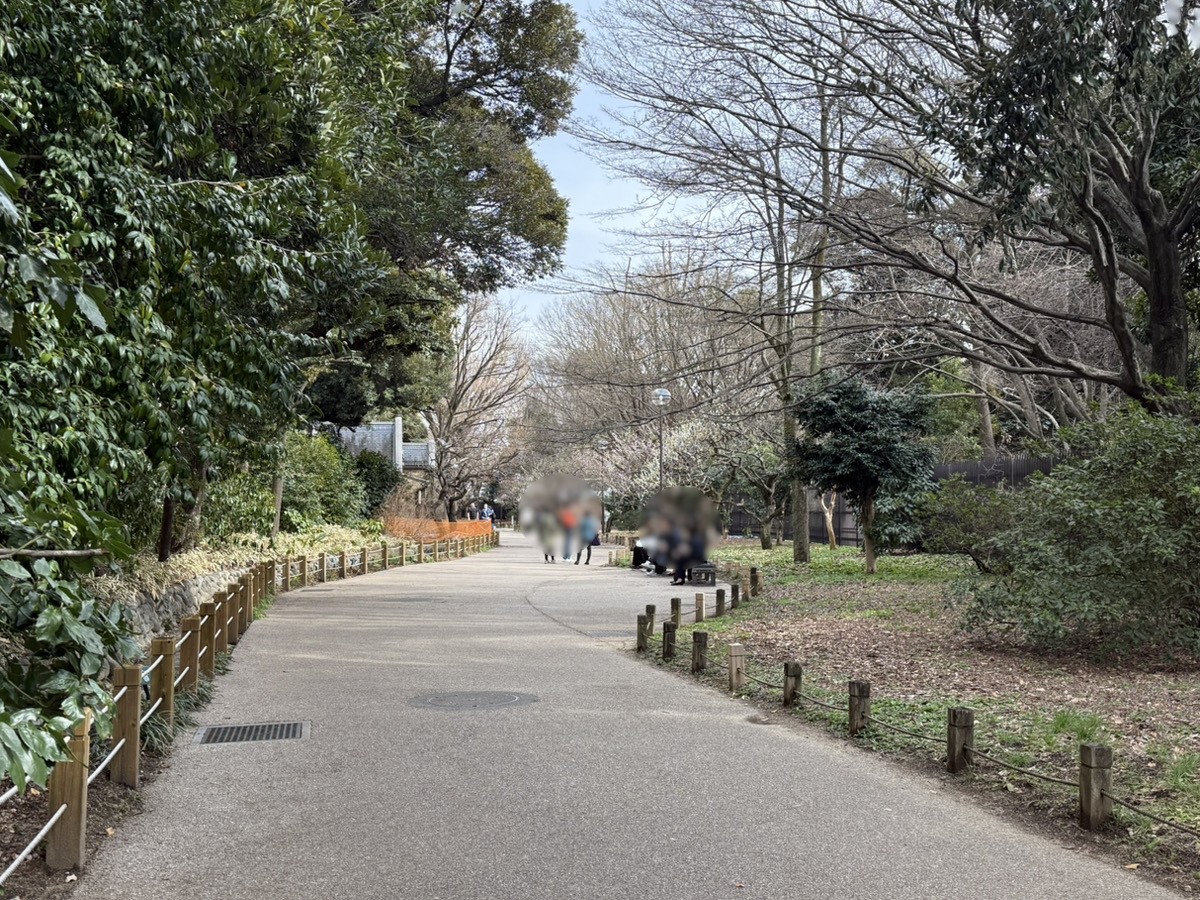 代々木の住みやすさとは？利便性が高く、自然も残るエリアの街歩き情報やマンション情報をご紹介