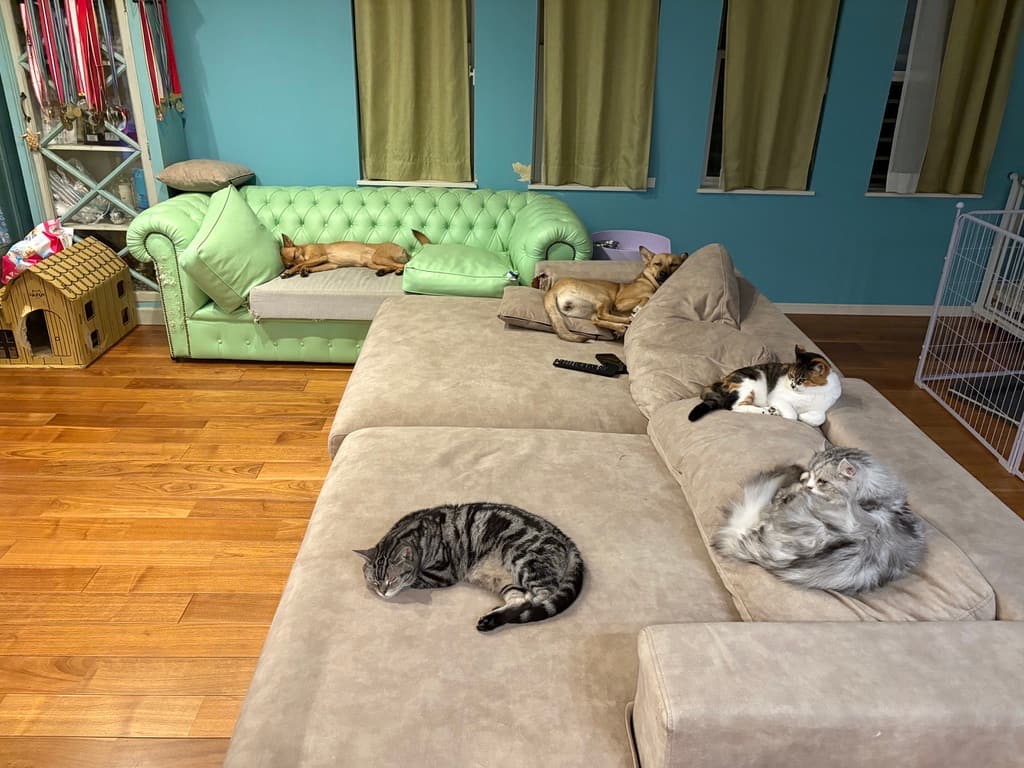 癒しと幸せを与えてくれる大切な家族たち。