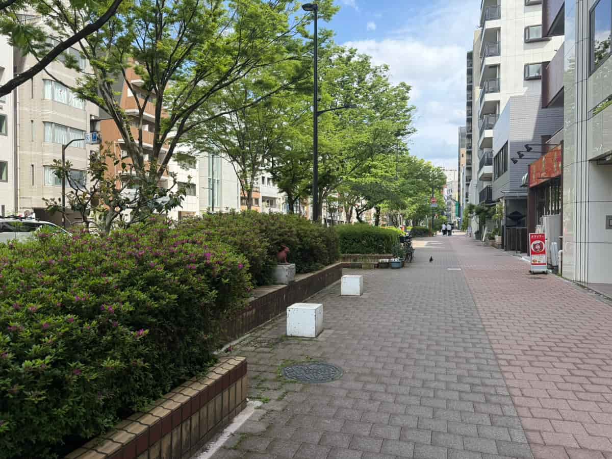 早大通り