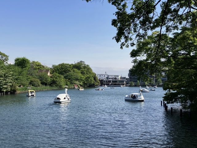 洗足池公園