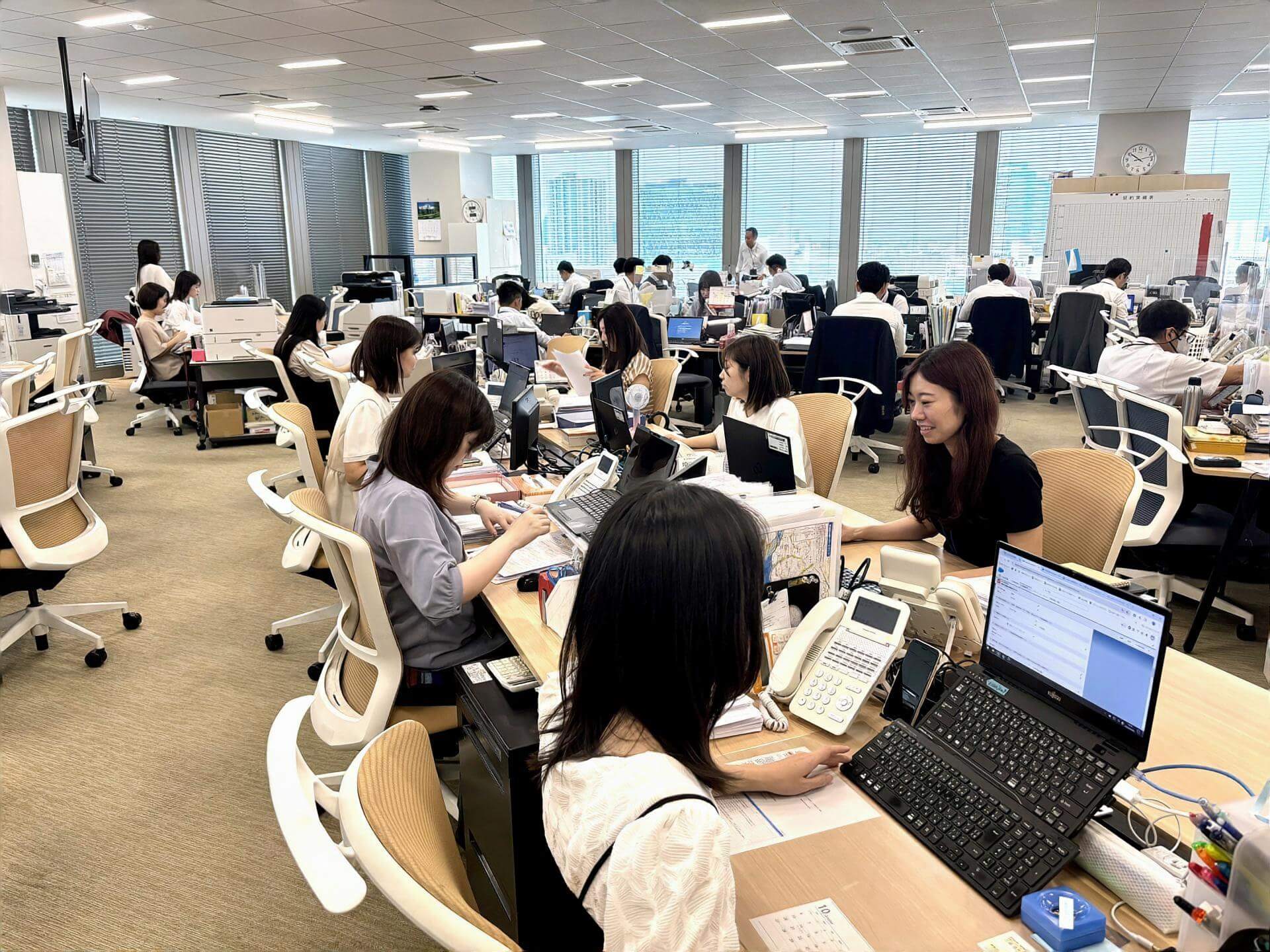 組織化された分業制