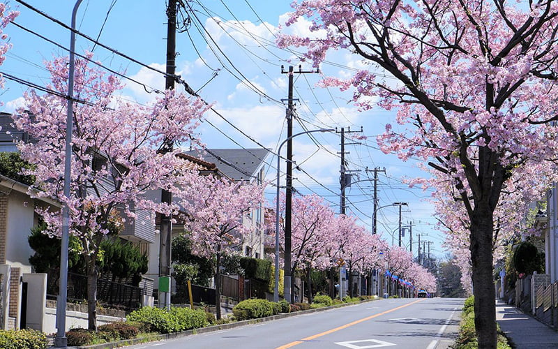 横浜市のマンション市場動向