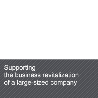 Supporting the business revitalization of a large-sized company