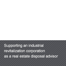 Supporting an industrial revitalization corporation as a real estate disposal advisor