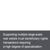 Supporting multiple large-scale real estate trust beneficiary rights transactions requiring a high degree of specialization 