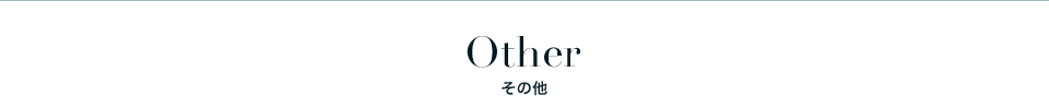 Other その他